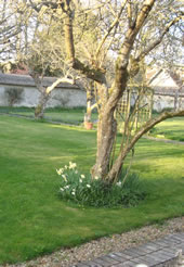 Enford House Cottage Garden is a Child friendly and dog friendly holiday cottage – totally enclosed by thatched wall