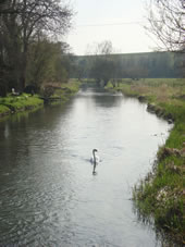 Enford House cottage is close to the River Avon.   Fishing is available at additional charge 